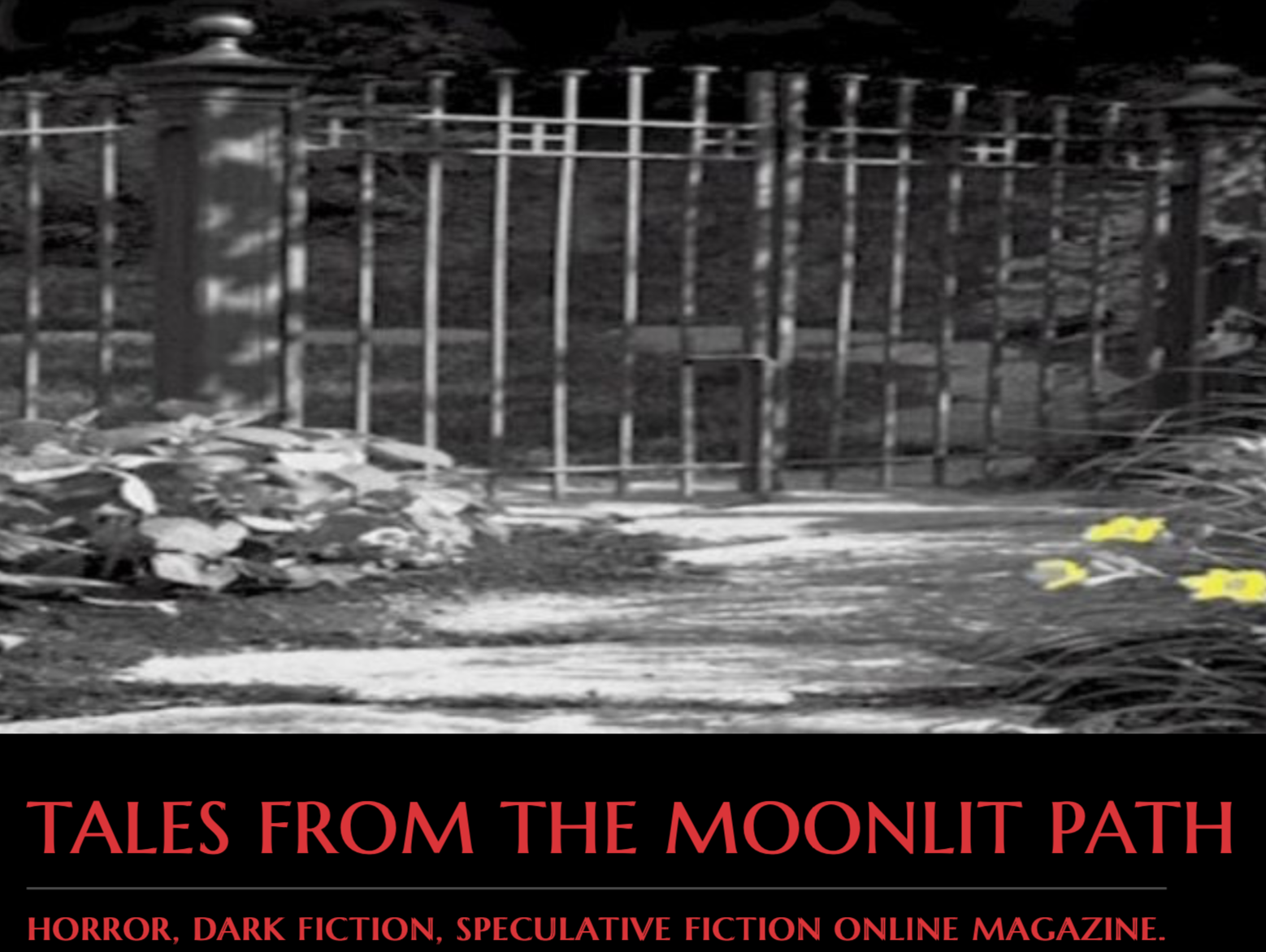 Tales from the Moonlit Path